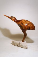 Kiwi-Ibis